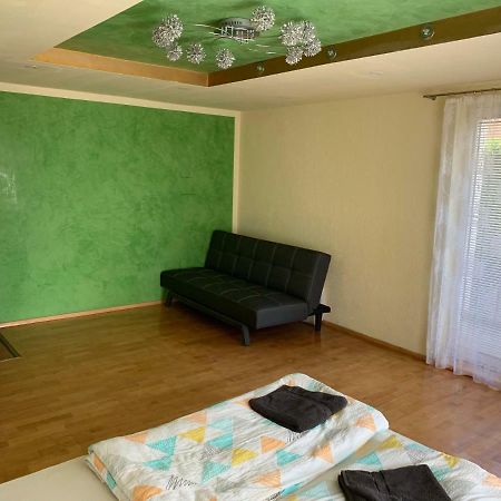 Nexi S Appartement An Der Enns 9 Radstadt Exteriér fotografie